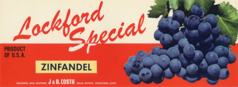 Lockford Special